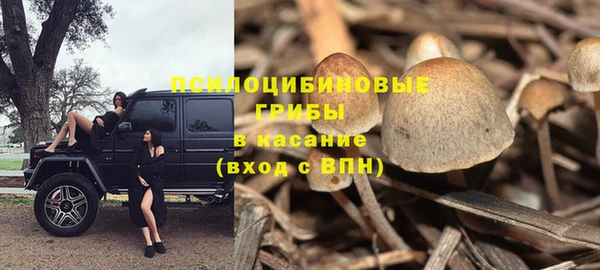 спайс Магадан