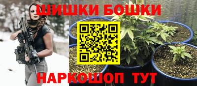 прущие грибы Можга