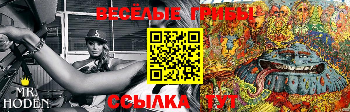 Галлюциногенные грибы Cubensis  Псилоцибиновые грибы MAGIC MUSHROOMS  закладка  Вход с VPN  Усть-Джегута 